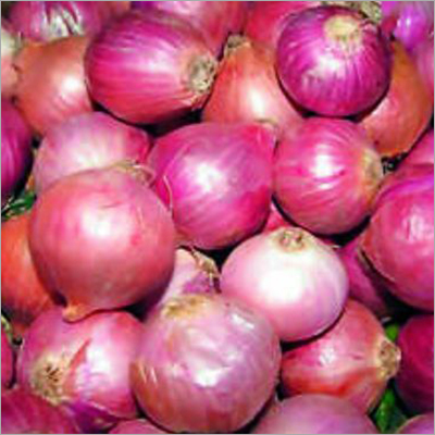 Fresh Onion