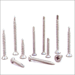 Steel Long Screw