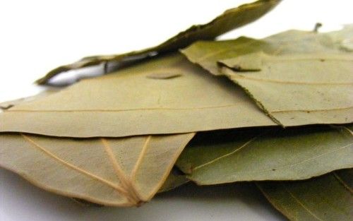 Bay Leaf