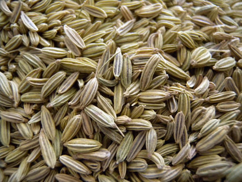 Fennel Seed