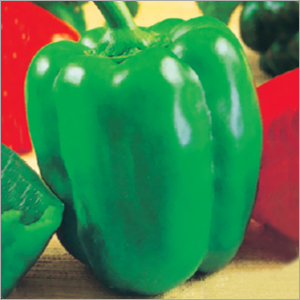 Green Capsicum (Deva) Seeds