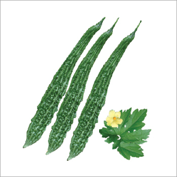 Bitter Gourd (Jalwa) seeds Bitter Gourd (Jalwa) seeds