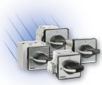 Telergon Cam Switches