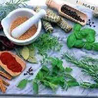 Natural and Herbal Extracts