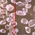 Proppant Sand