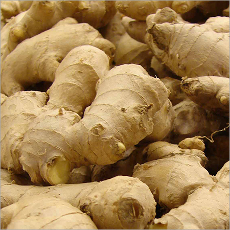 Ginger