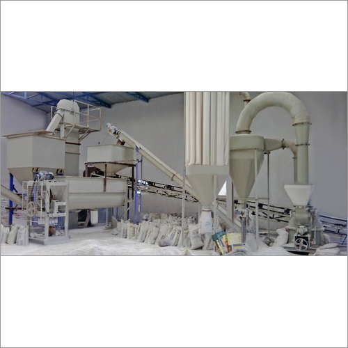 Plaster Of Paris Plant