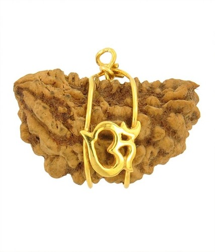 Ek Mukhi Kaju Dana Rudraksha with Om Style Panch Dhatu Pendant
