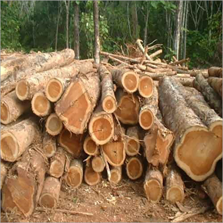 Round Logs
