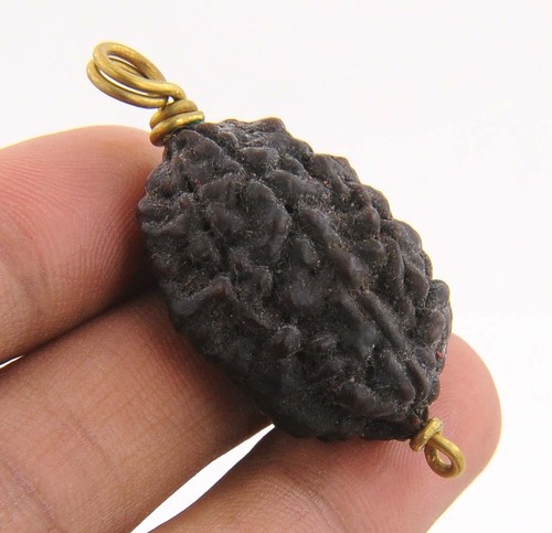Two Mukhi Rudraksha Online