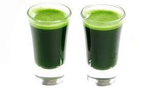 Chlorophyll Green Color WS / OS