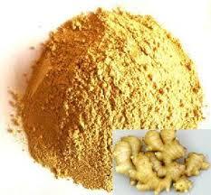 Ginger Extract