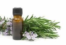 Rosemary Extract