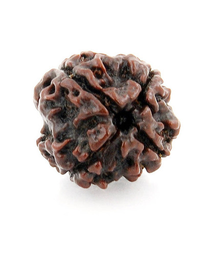 4 Face Rudraksha In India