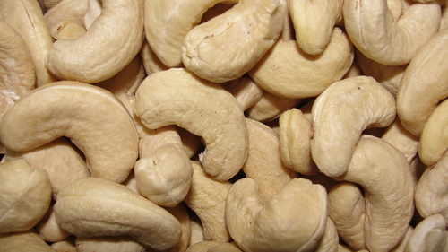 Fresh Cashew Nuts