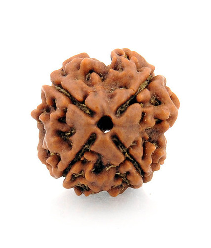 Certified 4 Face Original Rudraksha Bead