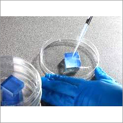 Disinfectant Qualification Services