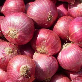 Onion