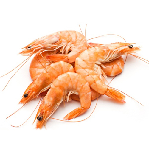 Prawn
