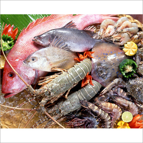 Seafood