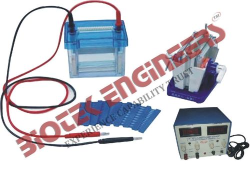 Vertical Slab Gel Electrophoresis Apparatus 
