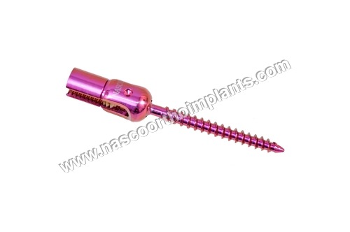 Single Lock Reduction Screw