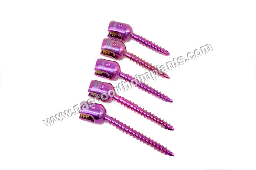 5.5 Single Lock Polyaxial Screw