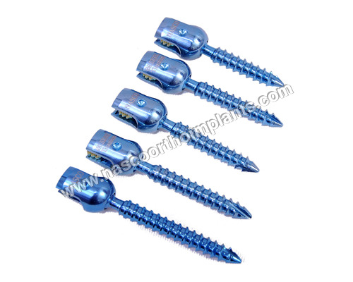 6.5 mm Single Lock Polyaxial Screw