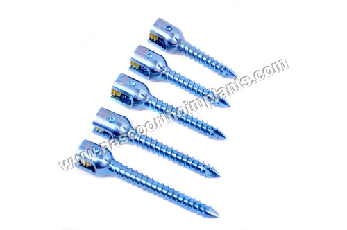 6.5 Single Lock Monoaxial Screw