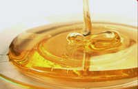 Organic Honey