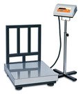 PLAT FORM WEIGHING SCALE