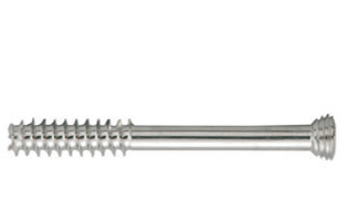 Cannulated Locking Screws