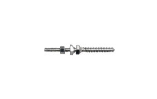 Steffee Screw A, 5.5 mm