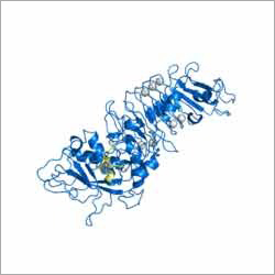 Serratiopeptidase Enzyme