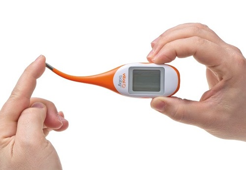 Thermometer Flexible