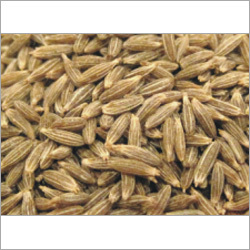 Cumin Seeds