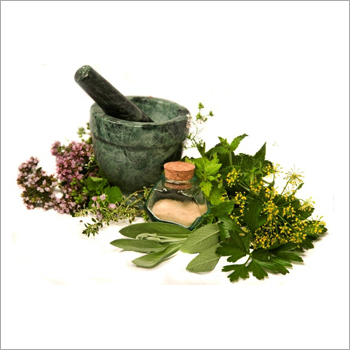 Organic Herbs