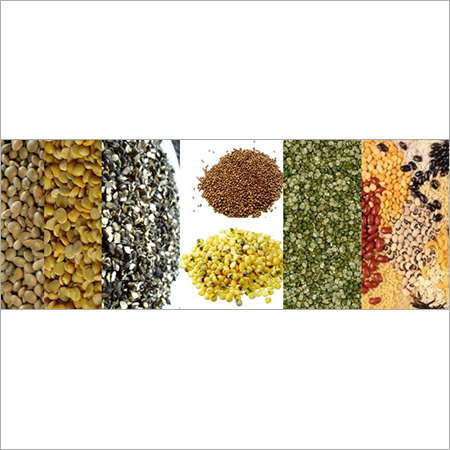 Indian Pulses