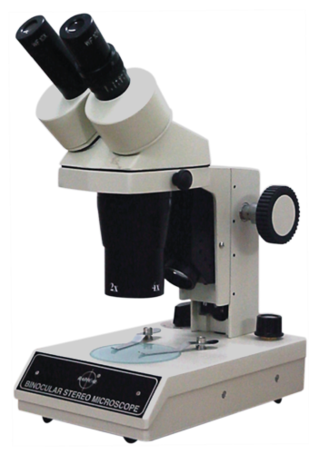 Stereozoom Microscope