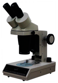 Stereozoom Microscope