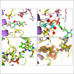 Pharmaceutical Formulations