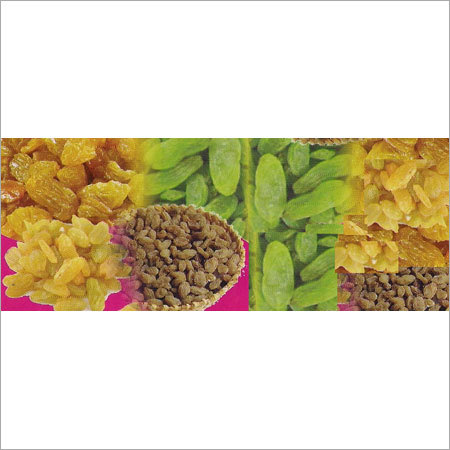 Dried Raisins