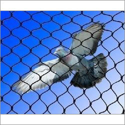 Pigeon Net