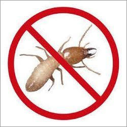Termite Pest Control Services