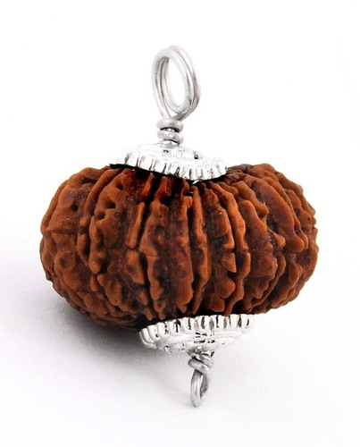 17 Mukhi Natural Certified Rudraksha Seed Silver Pendant