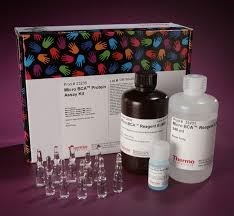 Proteomics Products 