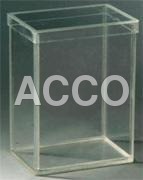 Museum Specimen Jar Perspex