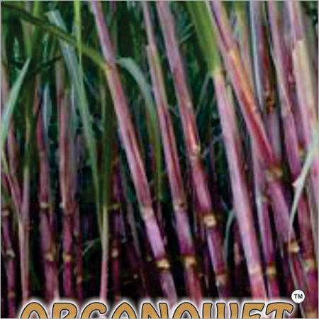 Homemade Organic Fertilizer