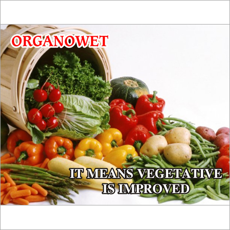 Organic Fertilizer for Vegetables