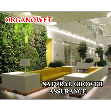 Organic Fertilizers for Plants